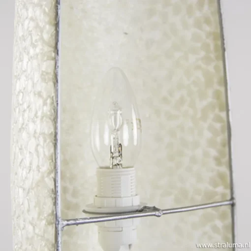 Straluma Beach wandlamp schelpen wit> Schelpenlampen|Woonkamerlampen