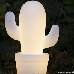 Straluma Draadloze LED tafellamp cactus wit></noscript> Tafellampen|Buitenlampen