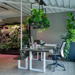 Straluma Hanglamp Oslo zwart></noscript> Hanglampen|Eettafellampen