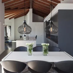 Straluma 2-Lichts moderne hanglamp draad zwart><noscript><img width=