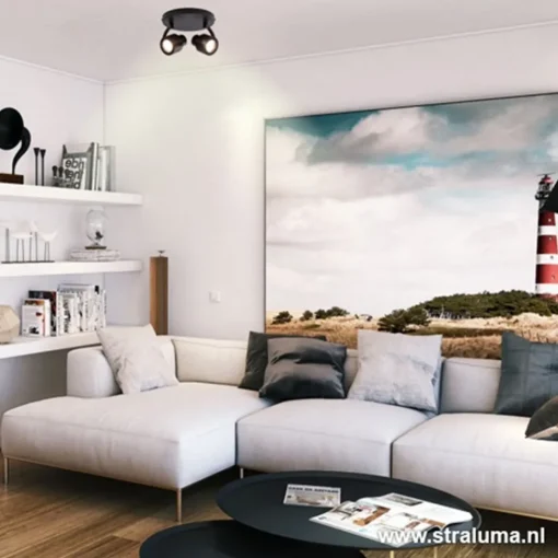 Straluma Moderne plafondspot mat zwart 2-lichts> Plafondlampen|Opbouwspots