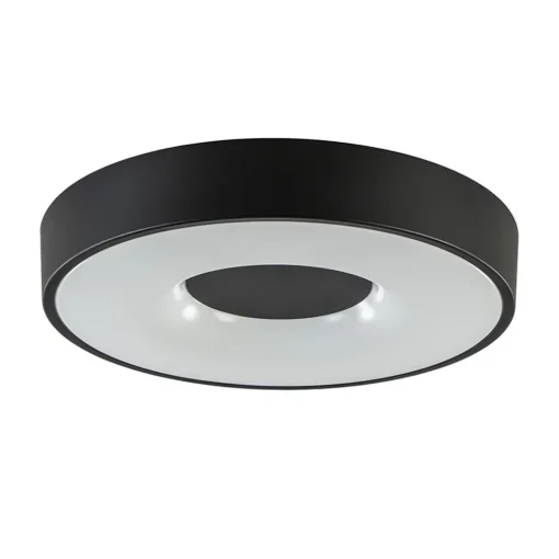 Straluma Plafondlamp Coin 38 zwart + remote CCT> Plafondlampen|Plafonnières