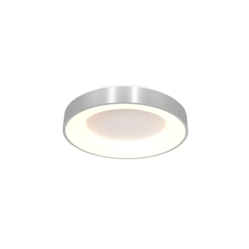 Straluma Plafondlamp Ringlede 30cm rvs led> Plafondlampen|Plafonnières