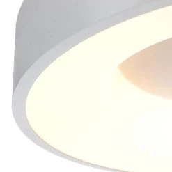 Straluma Plafondlamp Ringlede 30cm rvs led></noscript> Plafondlampen|Plafonnières