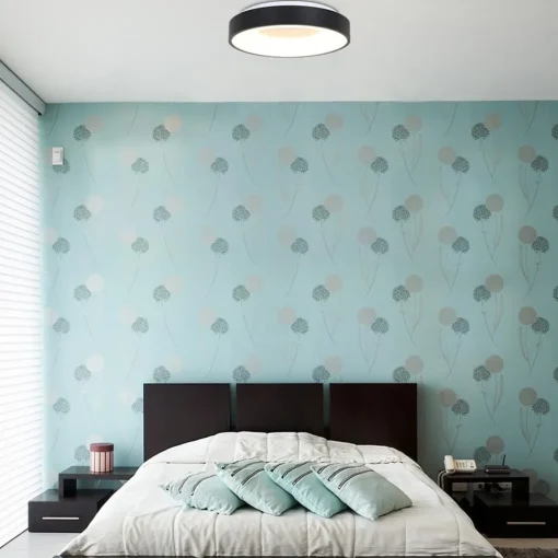 Straluma Plafondlamp Ringlede zwart> Plafondlampen|Plafonnières