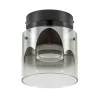 Straluma Plafondlamp Salerno zwart/smoke glas> Plafondlampen|Woonkamerlampen