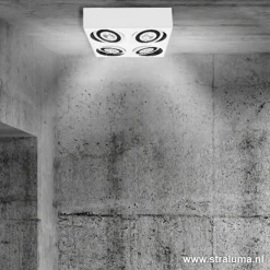 Straluma Plafondspot Eye 4L wit/zwart 3000k></noscript> Plafondlampen|Opbouwspots