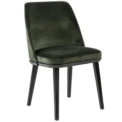 Straluma Stoffen eetkamerstoel groen met zwarte houten poot> Eetkamerstoelen