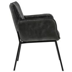 Straluma Trendy eetkamerstoel velours antraciet met armleuning></noscript> Eetkamerstoelen