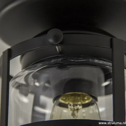 Straluma Zwarte Kooi- plafondlamp met glas> Kooilampen|Woonkamerlampen